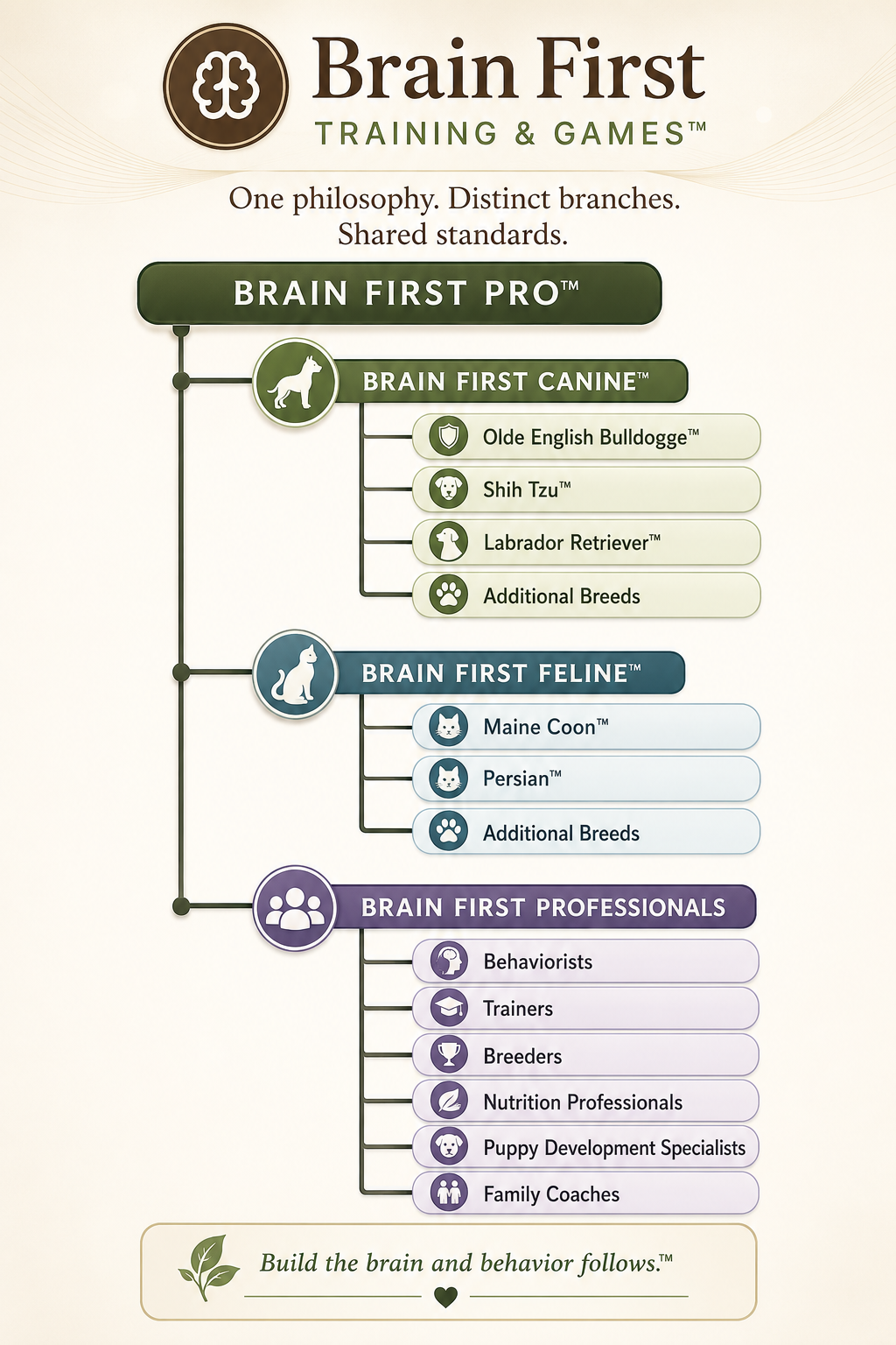 Brain First™ family hierarchy — Brain First Pro™ with Canine, Feline, and Professionals branches